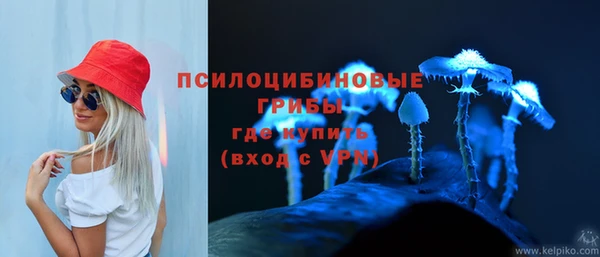 гидропоника Арсеньев