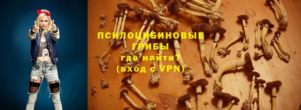 гидропоника Арсеньев
