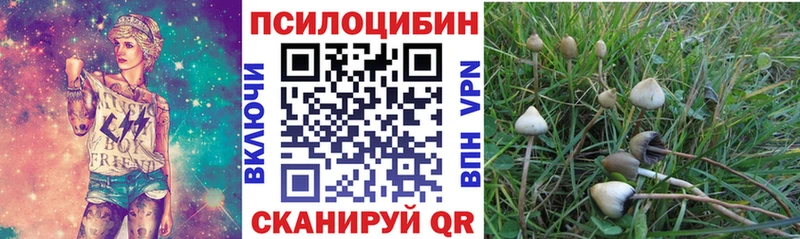 Псилоцибиновые грибы Psilocybine cubensis Волгодонск