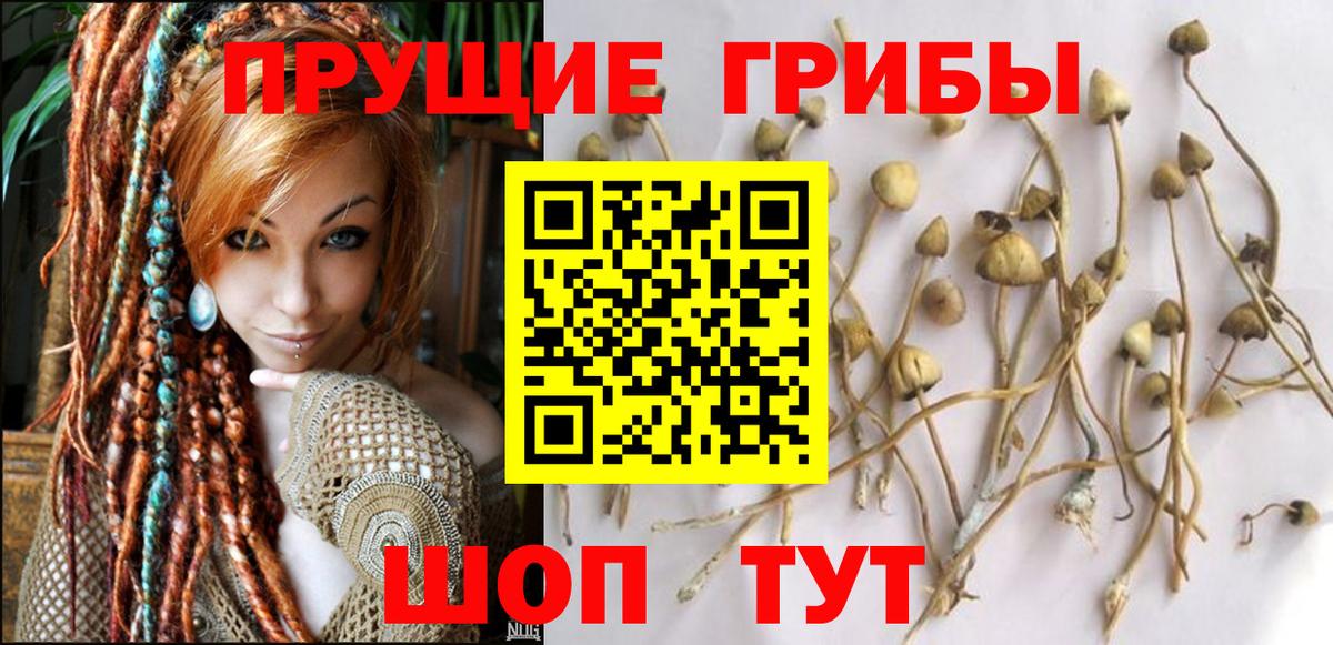 Псилоцибиновые грибы ЛСД  Вход с VPN  Волгодонск 